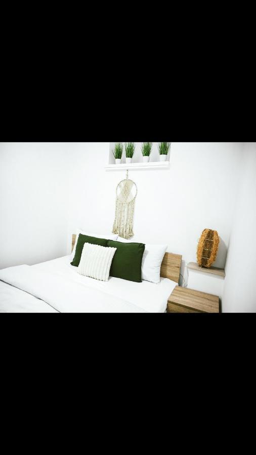 Brasov Accomodation1 Ngoại thất bức ảnh